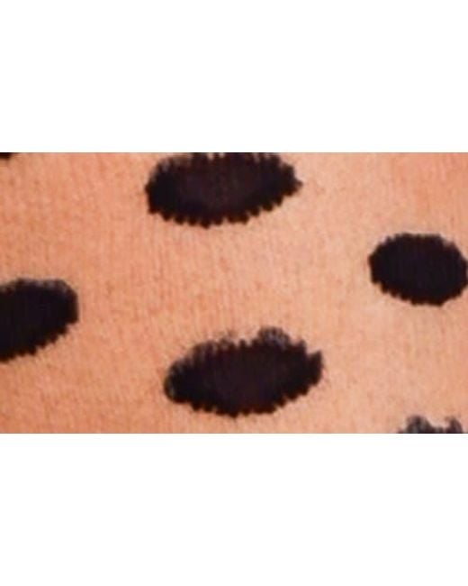 Sock Candy Red Assorted 2-Pack Sheer Polka Dot Socks