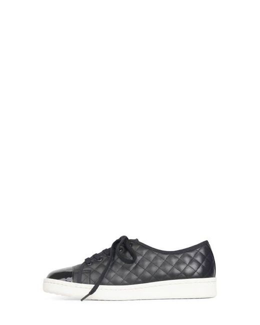 Paul Mayer Black Samba Cap Toe Sneaker