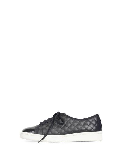 Paul Mayer Black Samba Cap Toe Sneaker