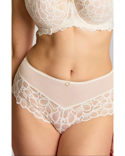 Panache Brown Allure Lace Cheeky Briefs