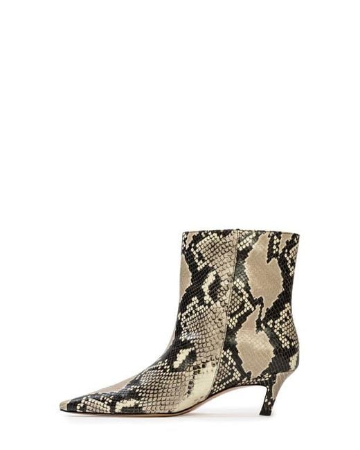 Black Suede Studio Brown Avenue 50 Pointed Toe Kitten Heel Bootie