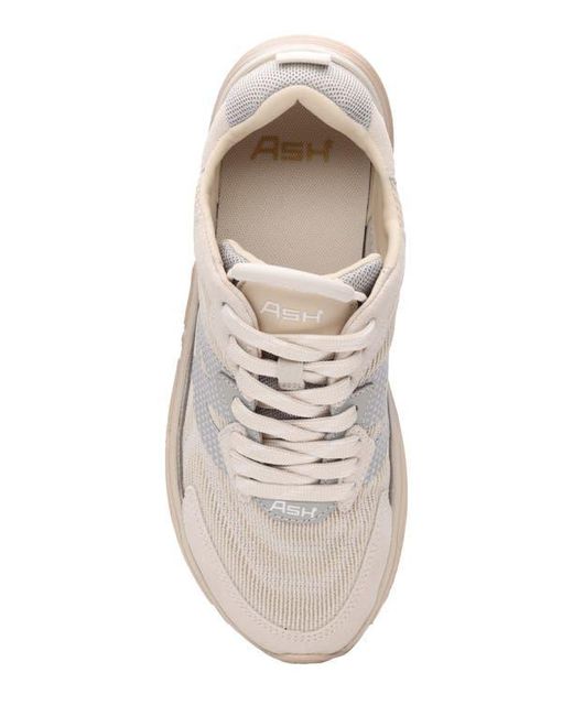 Ash White Eagle Platform Sneaker