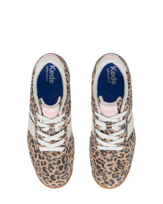 Keds Gray Revival Leopard Print Sneaker