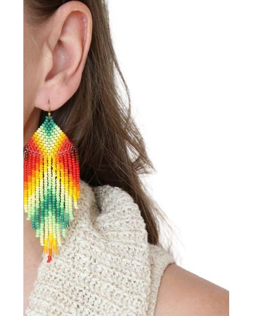 Fosterie Metallic Beetle Earring