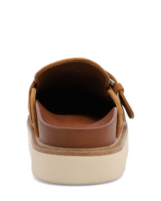 MIA Brown Zamira Clog