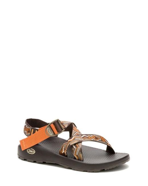 Chaco Brown Z1 Classic Sandal for men