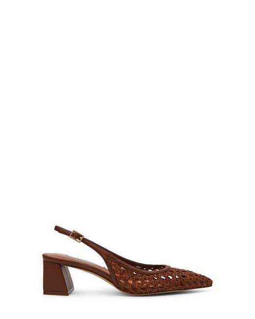 Steve Madden Brown Robyn Pointed Toe Slingback Pump
