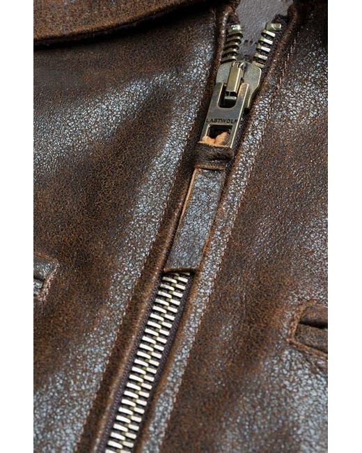 Last Wolf Brown Rainier Moto Jacket for men
