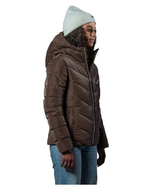 Woodpecker Brown Robin Medium Weight Coat