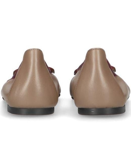 Pretty Ballerinas Brown Pointed Toe Elasticated Ballet Flat