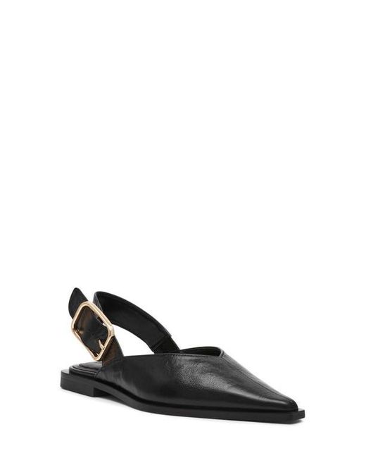 Steve Madden Black Shay Pointed Toe Slingback Flat