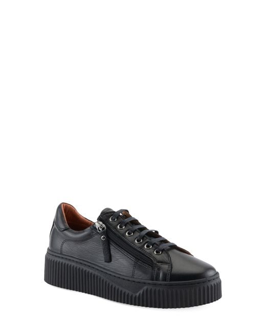 Spring Step Black Vibe Leather Sneaker