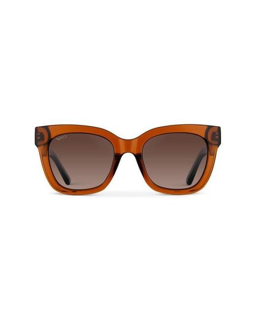 WMP Eyewear Brown Stormi
