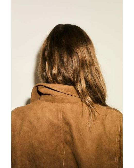 H&M Brown Napped Jacket
