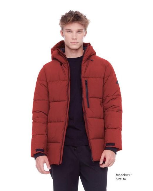 Alpine North Red Banff for men