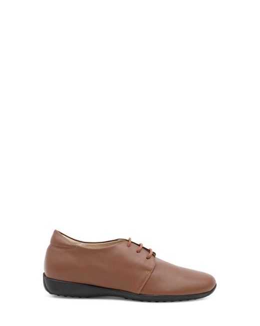 Amalfi by Rangoni Brown Jasmine Derby