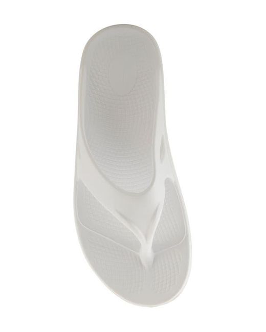 Flexus by Spring Step White Osmar Flip Flop