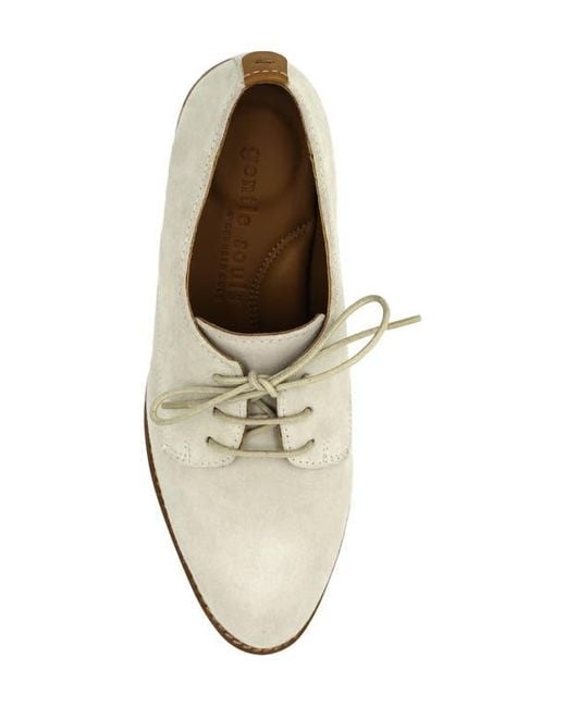 Gentle Souls Multicolor Aronson Derby