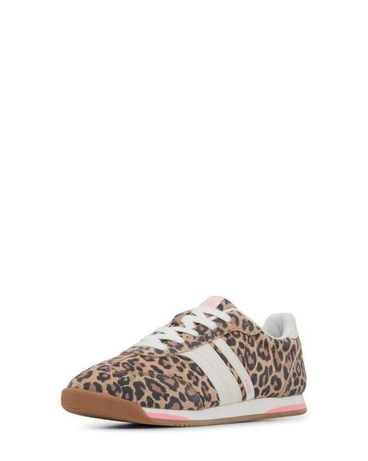 Keds Gray Revival Leopard Print Sneaker