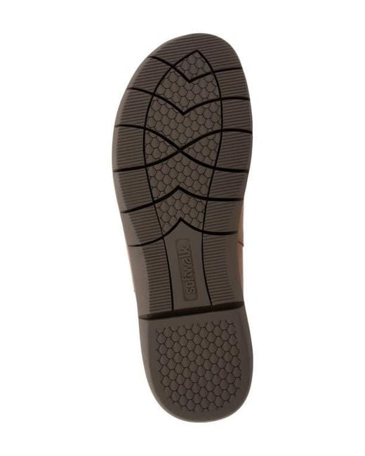 Softwalk® Brown Andria Mule