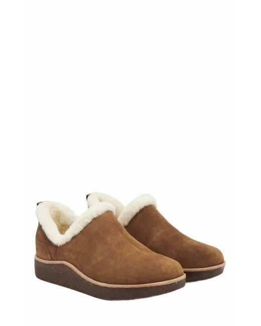 ABEO Brown Pioneer Bootie