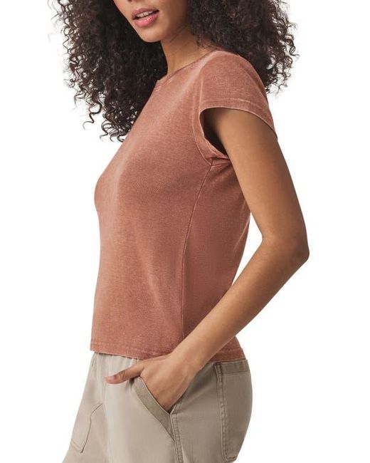 Splendid Brown Faye Crewneck Tee