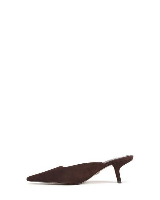 Sam Edelman Brown Brandy Pointed Toe Mule