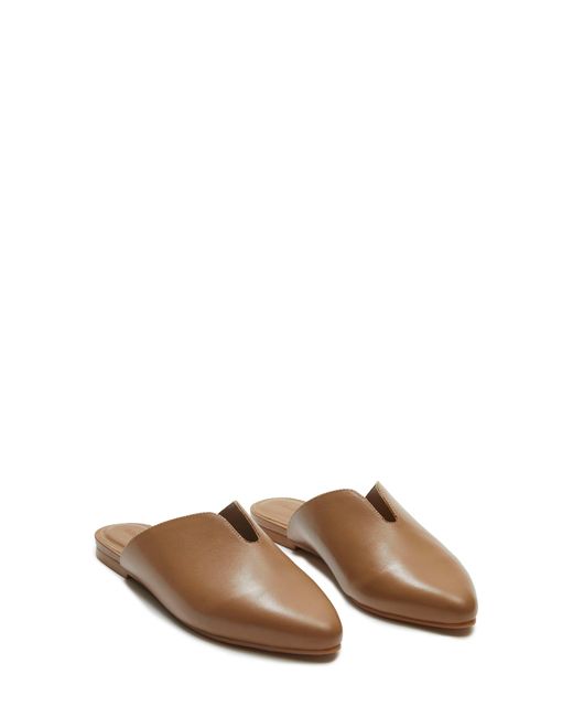 Rebecca Allen The Mule in Brown Lyst