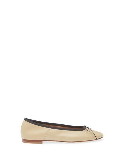 Mansur Gavriel Multicolor Ballet Flat