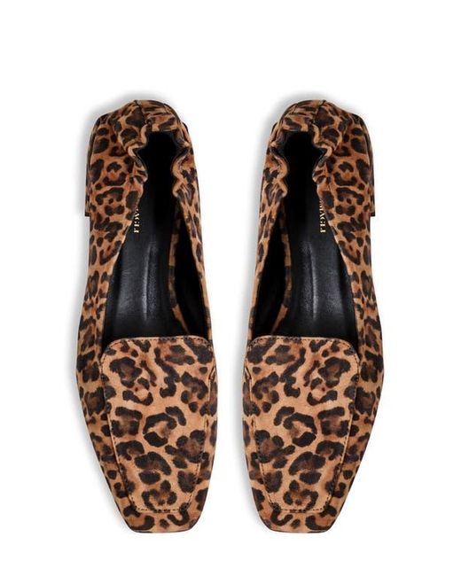 Bruno Magli Brown Porscha Loafer