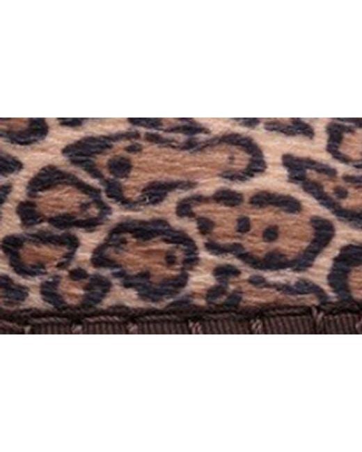 Flabelus Brown Pierre Mary Jane Flat