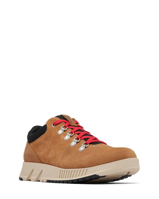 Sorel Brown Mac Hill Lite Low Profile Waterproof Hiker Shoe for men