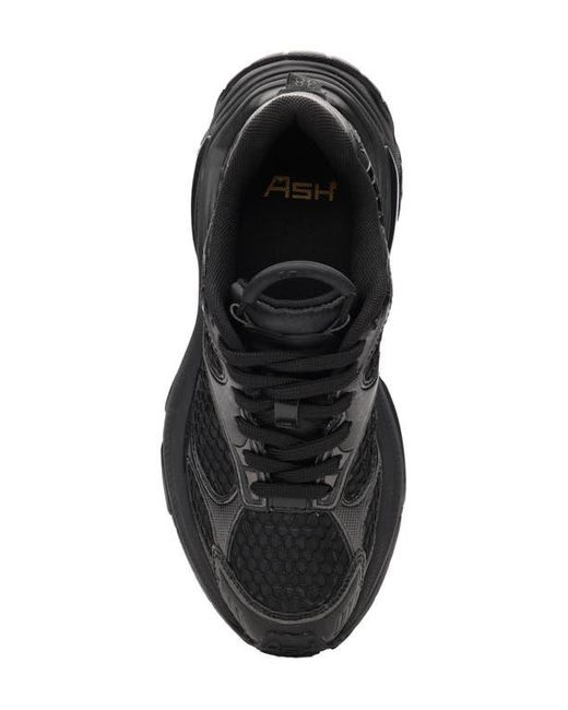 Ash Black Dragon Sneaker