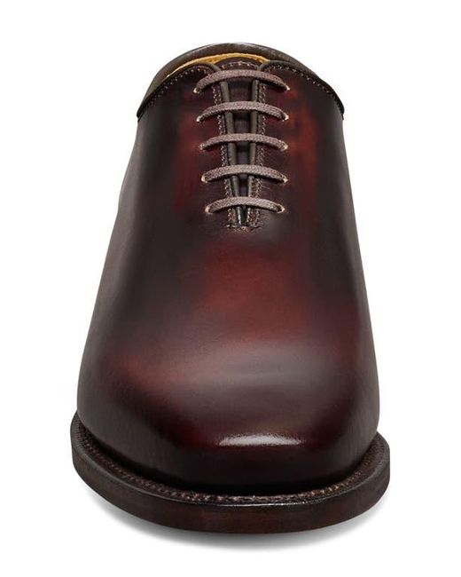 Allen Edmonds Brown Morrison Oxford for men