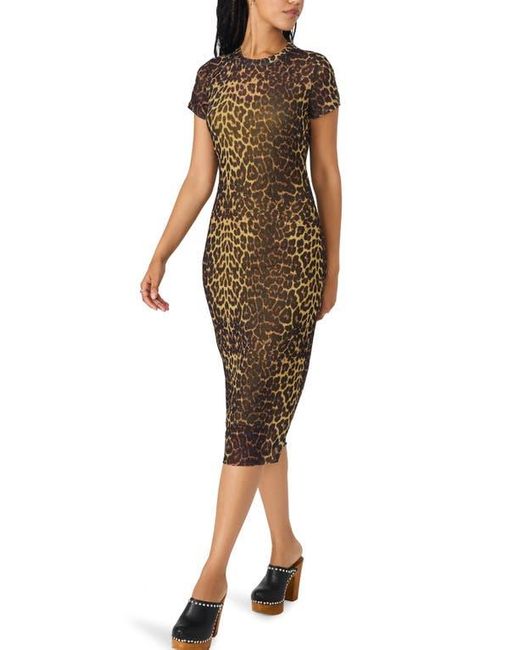 Steve Madden Brown Hailee Print Dress