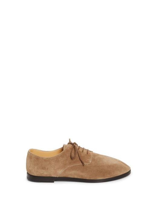 Common Projects Brown Soft Plain Toe Derby