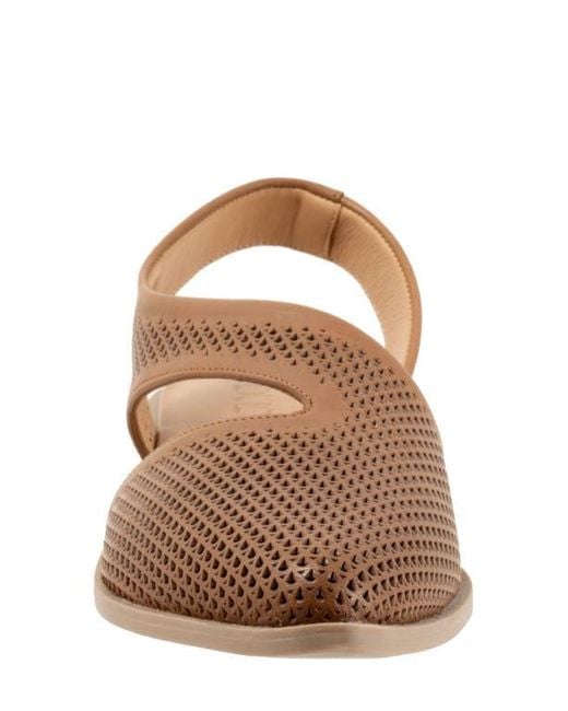 BUENO Brown Bianca Perf Slingback Pointed Toe Flat
