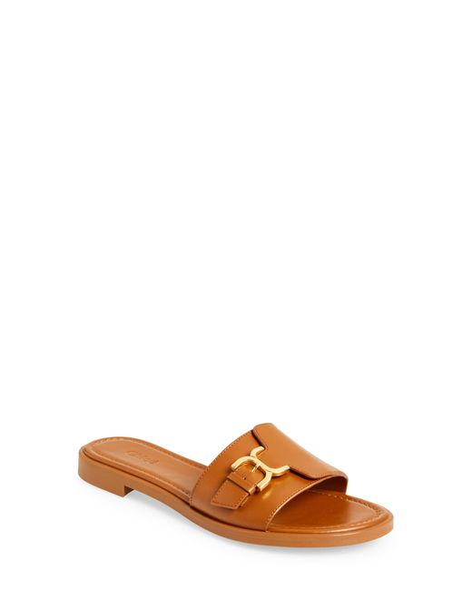 Chloé Marcie Slide Sandal in Brown | Lyst