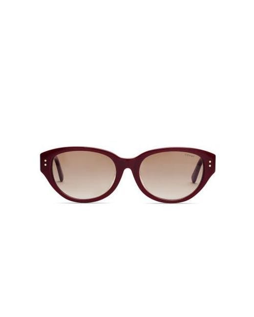 COVRY Brown Nova Sunglasses