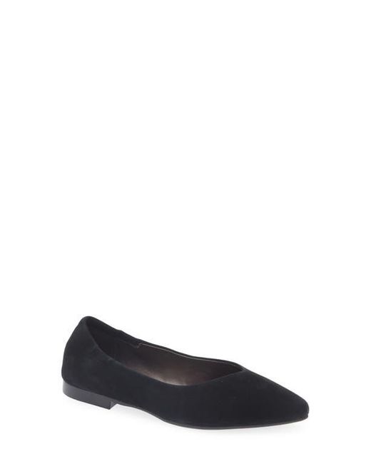 Cordani Blue Mavis Pointed Toe Flat