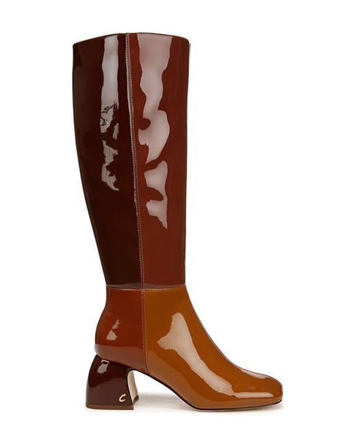 Circus by Sam Edelman Brown Oaklyn Knee High Boot