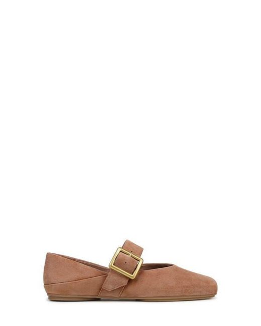Franco Sarto Brown Oakes Square Toe Flat