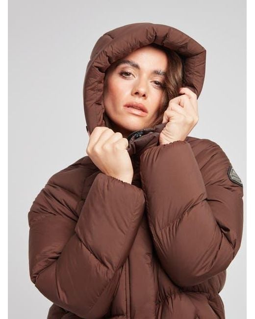 Jacket Brown Cloud Cropped Hooded Puffer Jacket