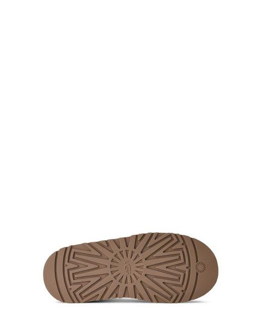 Ugg Brown Tazz Ii Genuine Shearling Lined Platform Slipper