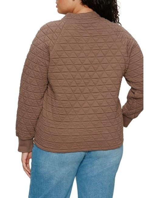 Sanctuary Brown Quilted Popover Top