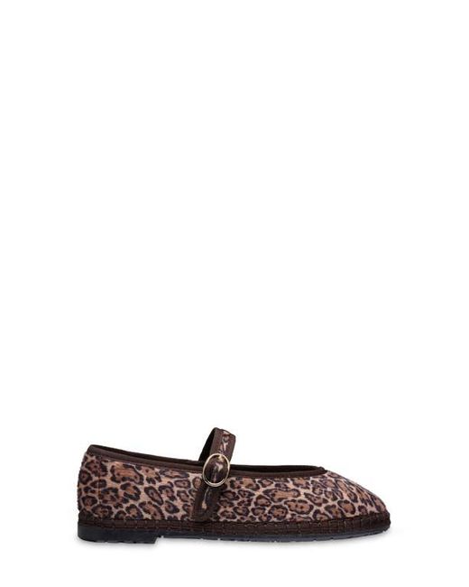 Flabelus Brown Pierre Mary Jane Flat