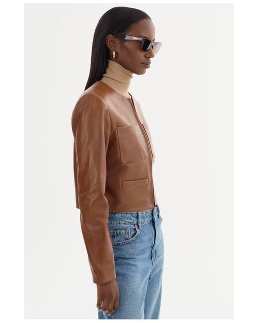 Lamarque Blue Linette