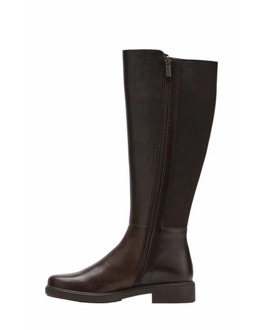 ABEO Black Compass Stretch Tall Boots