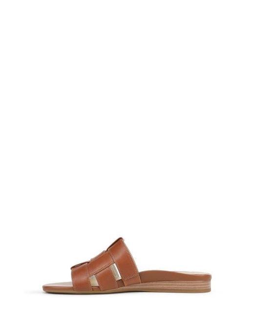 Vionic Brown Glendora Slide Sandal