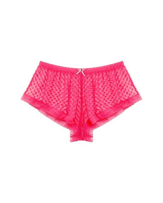 Skarlett Blue Pink Heart Breaker Lace Shorts